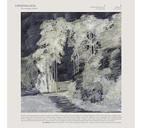 The Language of Limbs