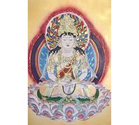 The Lankavatara Sutra in Modern English Volume1: Featuring Three Foundational Chinese Translations and Two Key Commentaries