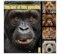 The last of this species (Wall Calendar 2026 12 × 12 Inch) CALVENDO 12 Month Wall Calendar: AI Portraits of animals in danger of extinction.