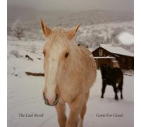 The Last Revel Gone for Good – Vinyle 12" – The Orchard