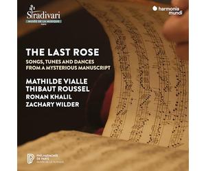 The Last Rose