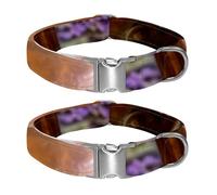 The Last Transmission of Static Secure & Comfortable Reflective Pet Collar with Quick-Release Buckle for Dogs and Cats