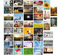 the lazy panda card company 80 cartes postales positives et motivantes - 40 designs différents, dont deux de chaque
