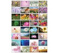 the lazy panda card company Nature Selection Lot de 32 cartes postales différentes avec différents thèmes naturels (belles fleurs)