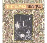 The Leaves - Hey Joe