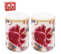 The Leonardo Collection Anthina Ensemble salière et poivrière en céramique de conception britannique | Distributeur décoratif pour la cuisine | Salière et poivrière pour tous les types de cuisine