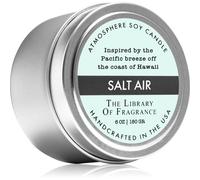 The Library Of Fragrance Salt Air Bougie Parfumée 180 G