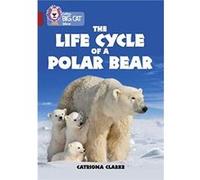 The Life Cycle of a Polar Bear by Catriona Clarke Paperback Book Catriona Clarke, (Auteur)
