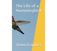 The Life of a Hummingbird