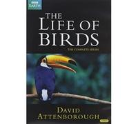 The Life of Birds [VHS] [Import allemand]