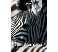 The Life of Mammals, Vol. 1 [Import USA Zone 1]