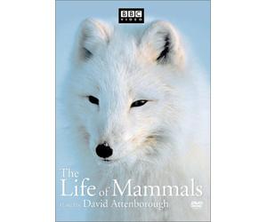 The Life of Mammals, Vol. 2 [Import USA Zone 1]
