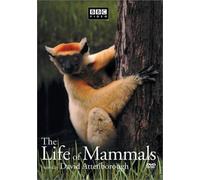 The Life of Mammals, Vol. 3 [Import USA Zone 1]