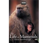 The Life of Mammals, Vol. 4 [Import USA Zone 1]