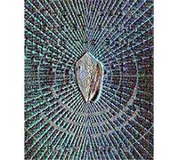 The Lifebox, the Seashell, And the Soul Rudy Rucker (Auteur)