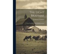 The Light Brahmas: From The Shell To The Exhibition Room