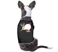 The Light Crust Doughboys - Favorite Piano and Guitars