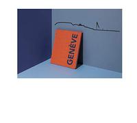 The Line, Décoration murale Profil de la ville de Genève Noir 50cm