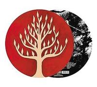 The Link Édition Limitée Picture Disc