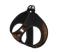 The Lion's Gaze Ensemble harnais et laisse doux pour animal de compagnie, harnais réglable en maille pour chiots et chats de petite et grande taille