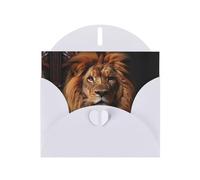 The Lion's Gaze Lot de cartes vierges avec enveloppes blanches 10,2 x 15,2 cm, pour toutes les occasions