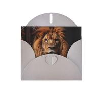 The Lion's Gaze Lot de cartes vierges avec enveloppes grises 10,2 x 15,2 cm, pour toutes les occasions
