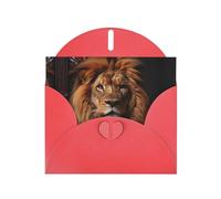 The Lion's Gaze Lot de cartes vierges avec enveloppes rouges 10,2 x 15,2 cm, pour toutes les occasions