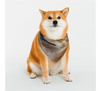 The Little Dog Gazing At The Sky Bandana pour chiens de petite, moyenne et grande taille - Doux et confortable pour garçons et filles, idéal pour les animaux domestiques