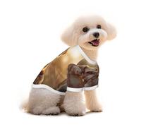 The Little Dog Standing on The Grass Under The Sunset T-shirt pour chien, gilet et débardeur élastique, mignon, respirant, doux, taille M