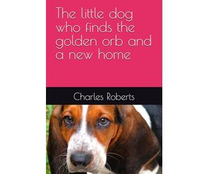 The little dog who finds the golden orb and a new home