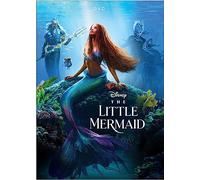 The Little Mermaid – DVD – AC-3 / Dolby Digital, doublé et sous-titré