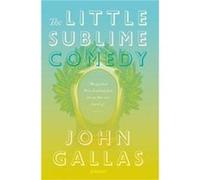 The Little Sublime Comedy by John Gallas John Gallas (Auteur)
