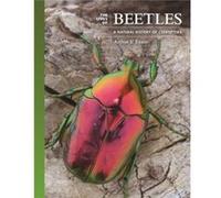 The Lives of Beetles by Arthur V. Evans Arthur V. Evans (Auteur)