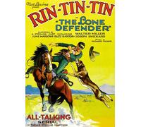 The Lone Defender [Dvd]