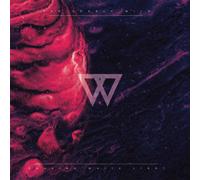 The Lonely Wild Chasing White Light (Vinyl)