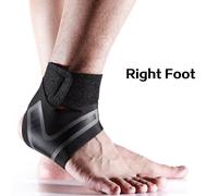 The Long Leaf Pine. With Prefatory Remarks On The Political And Geological History Of North Carolina And The Sandhills. Including A Summary Of The Flo