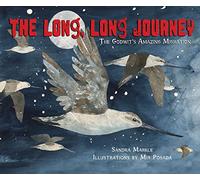 The Long, Long Journey: The Godwit's Amazing Migration