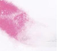 The Long Shadow Of The Paper Tiger