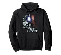 The Lord of The Rings Frodo Light in The Dark Sweat à Capuche