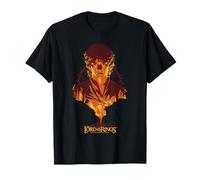 The Lord of The Rings Frodo Mount Doom T-Shirt