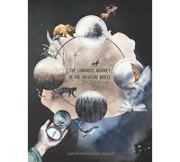 The Luminous Journey Of The Medicine Wheel: Celtic And Indigenous Perspectives