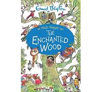 The Magic Faraway Tree: The Enchanted Wood