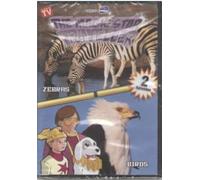 The magic Star Traveller, Zebras / Birds