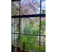 The Magical Garden 6x9 Journal/Notebook: Vision Board