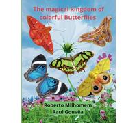 The magical kingdom of colorful butterflies: Colorful Butterflies