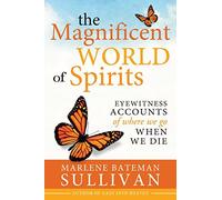 The Magnificent World of Spirits: Eyewitness Accounts of Where We Go When We Die by Marlene Bateman Sullivan (2016-04-12)