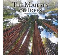 The Majesty Of Trees 2020 12 X 12 Inch Monthly Square Wall Calendar, Nature Trees