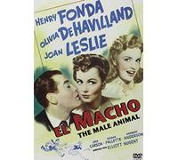 The Male Animal (Region 2) (Origine Espagnole, Sans Langue Francaise ]