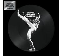 The Man Who Sold The World Edition Limitée Picture Disc Vinyle