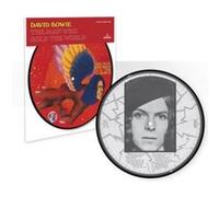 The Man who sold the World Picture Disc Edition limitée